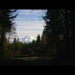 Meet your Posher, Gloria